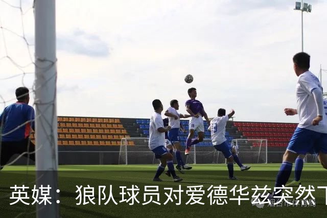英媒：狼队球员对爱德华兹突然下课感到愤怒，包括刚签的特里皮尔